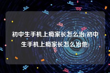 初中生手机上瘾家长怎么治(初中生手机上瘾家长怎么治他)