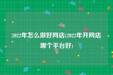 2022年怎么做好网店(2022年开网店哪个平台好)