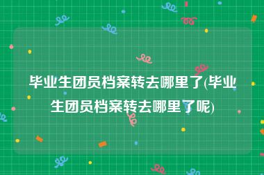 毕业生团员档案转去哪里了(毕业生团员档案转去哪里了呢)