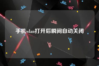 手机wlan打开后瞬间自动关闭